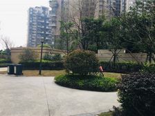 保利创智锦城8室3厅南北