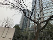 使馆壹号院户型方正大三居,有浴缸