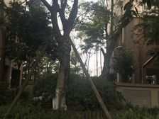 泰基花溪谷4室2厅西南