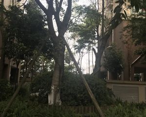 泰基花溪谷4室2厅西南