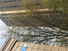 保利康桥 3室2厅 东南