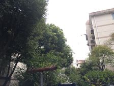 卫生间全明,大开间,小区入口附近,品质小区