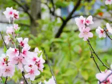 此房手续齐全,格局好,采光好,无遮挡,出行方便