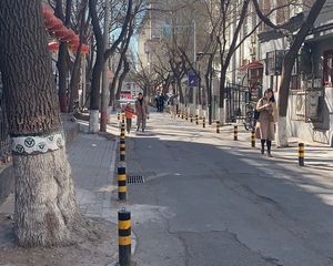 柏树胡同2室1厅南北