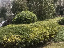 古猗新苑 2室2厅1卫 南