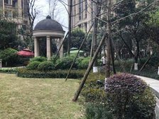 中粮香颂丽都3室2厅西北西北