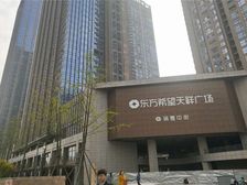 东方希望天祥广场 2室2厅 南