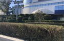 海逸天成实景图