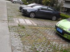 大团镇·芦洋花园·3室·2厅