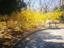 八角北路11号院 精装修 高楼层 视野好