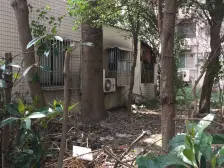 带院子+配套成熟+可拎包入住+看房随时+价格可谈