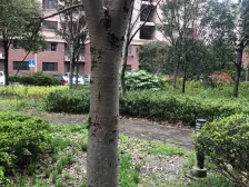 永康城兴利苑 2室1厅 南 北