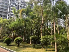 双大山湖湾 2室2厅 北