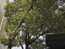 经典三房 承载阖家天伦之乐 准电梯房 避免楼梯烦恼