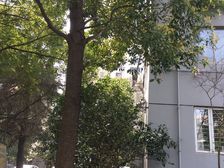 近地铁,精装,电梯房无抵押,必看好房