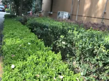 曲阳·密**区·3室·2厅