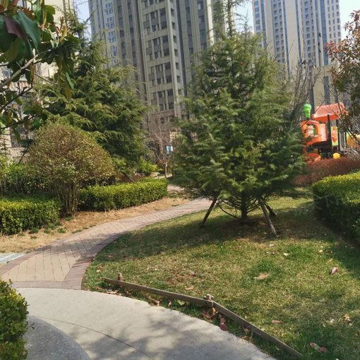  ����������2��1��1���ϳ���2000.00Ԫ/�³��� 