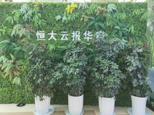 云报华府1室1厅西