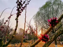 中建长清湖知园 5室2厅 南