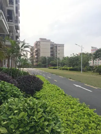 金阳华府实景图