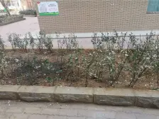 采光视野好,看房方便,价格可以谈。