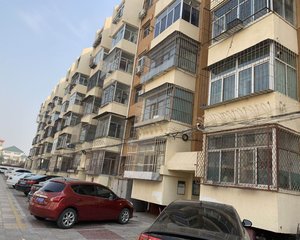 东园南区3室1厅南北