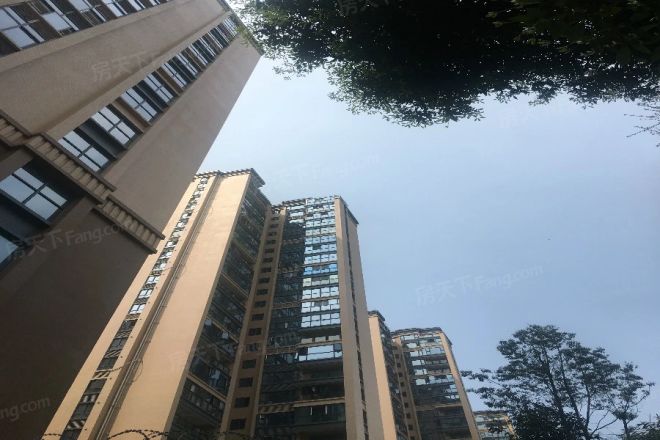 金强欧郡实景图