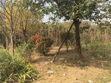 保利康桥 4室2厅 东 西