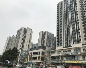 龙湖金楠天街2室1厅东