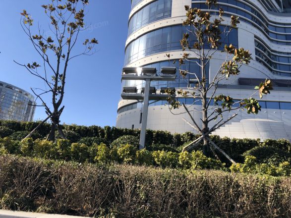 海逸天成实景图
