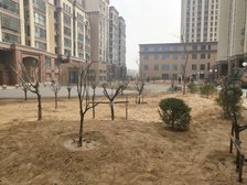 学院一号1室1厅东