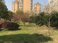 高楼层带装修可直接拎包入住电梯房产权清晰