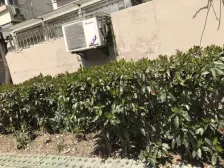 家产分配,诚意出售,看房咨询,了解咨询