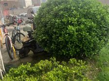 大两房,一梯两户,房型正气,居家装修,小区入口附近