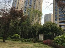 保利康桥 1室1厅 南