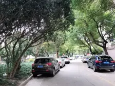 真光·清涧三街坊·1室·2厅