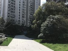 总共80多户的品质小区车位充足戴维斯物业