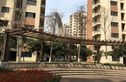 崧泽华城逸泰雅苑实景图