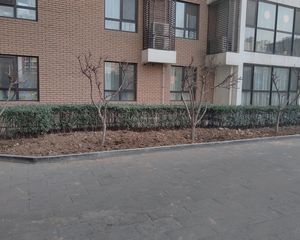 雪芳园2室1厅东南