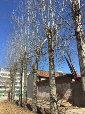 仙泽园实景图