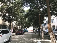 嵩山路电力单位房,电梯,双气,能停车