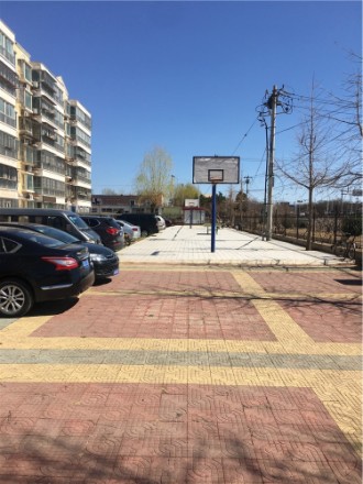 仙泽园实景图