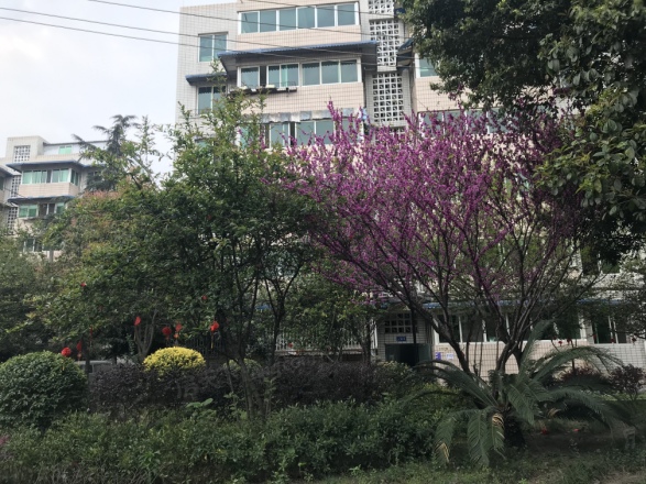 光华里实景图