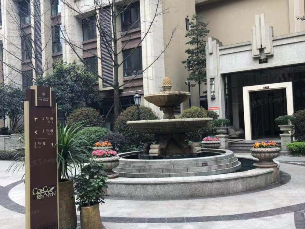 实景图