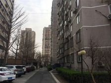 北大地·文体路乙11号院楼龄新户型方正看房方便
