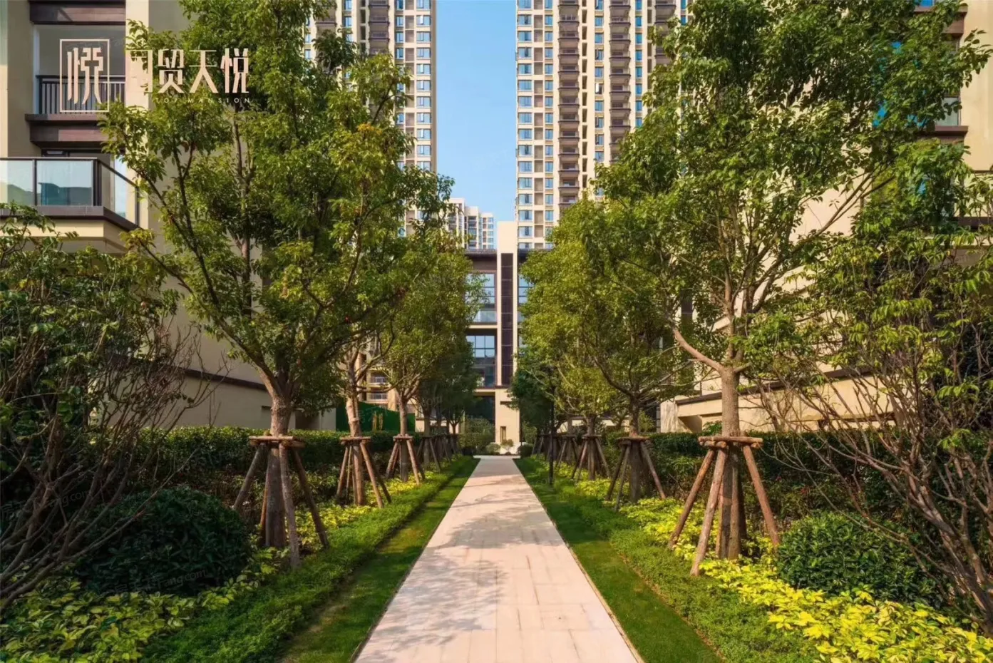 【厦门国贸天悦小区,二手房,租房】- 厦门房天下