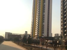 南北通 中间楼层 电梯房 精装修 老本 总价低