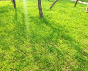 玺龙湾3室1厅东南