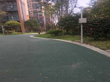 西财学府阳光3室1厅西北西北东南
