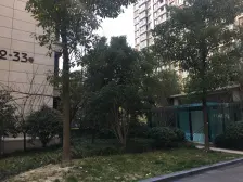 品质物业,精装,电梯房 店长力推